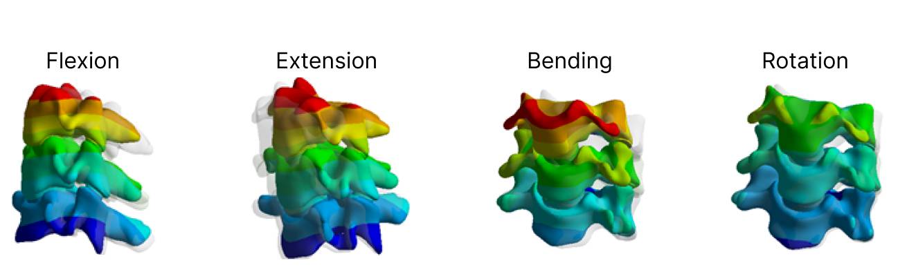 biomechanics-finite-element-simulation