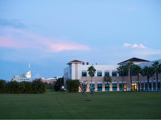 Honors College students on Jupiter campus