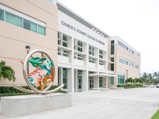 Medical education at FAU