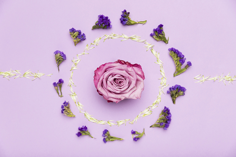 An arrangement of flowers symbolizing sexual health