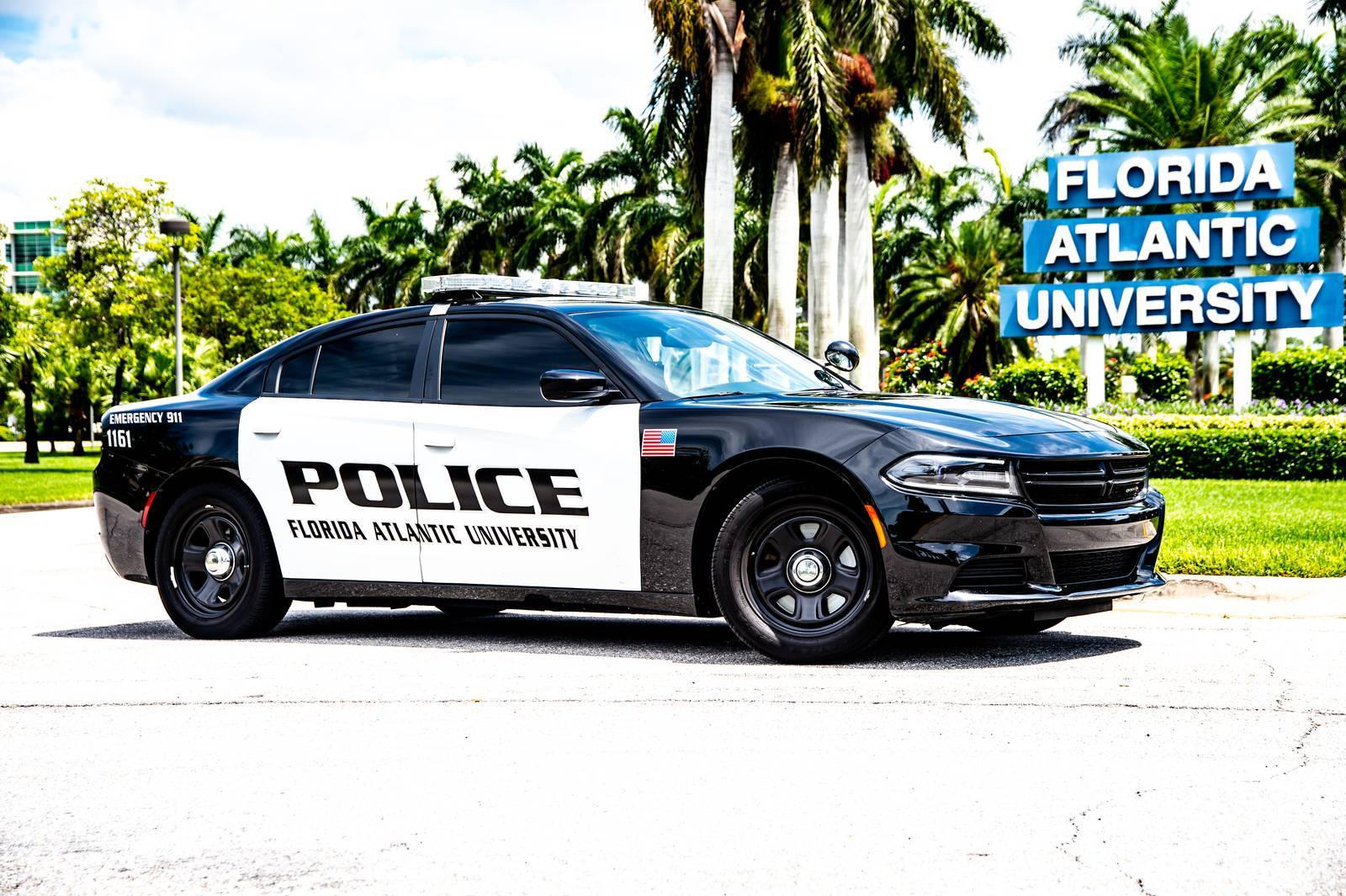 police car